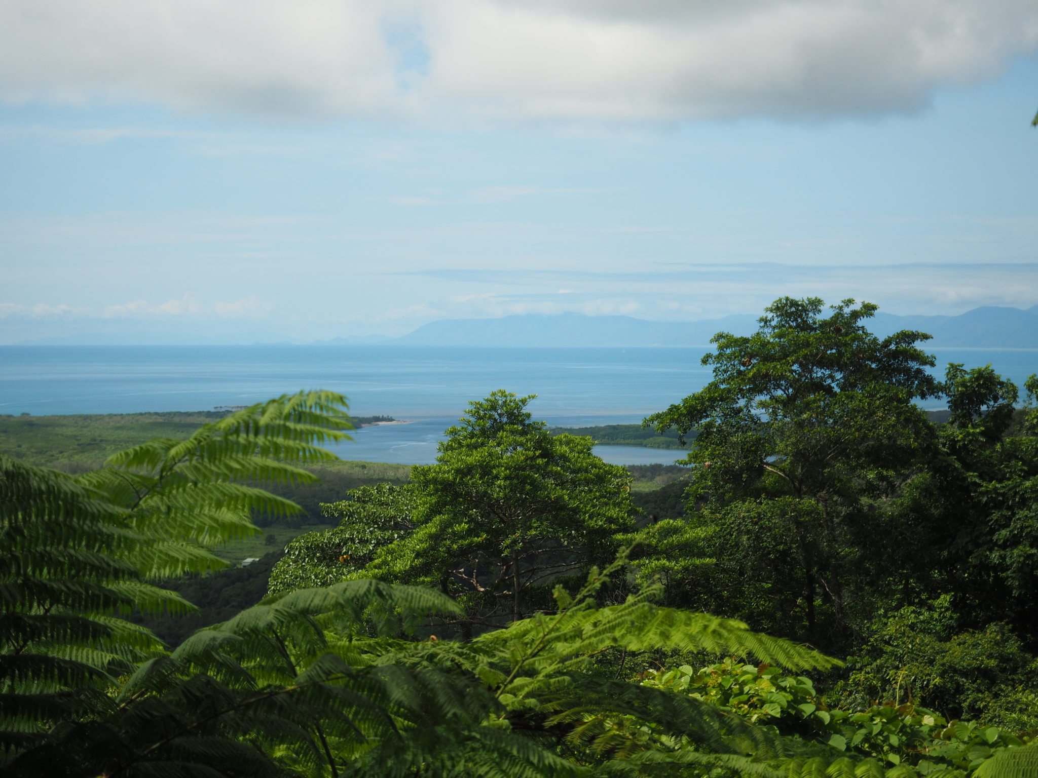 Daintree Rainforest, Australia – jessicasabo.com